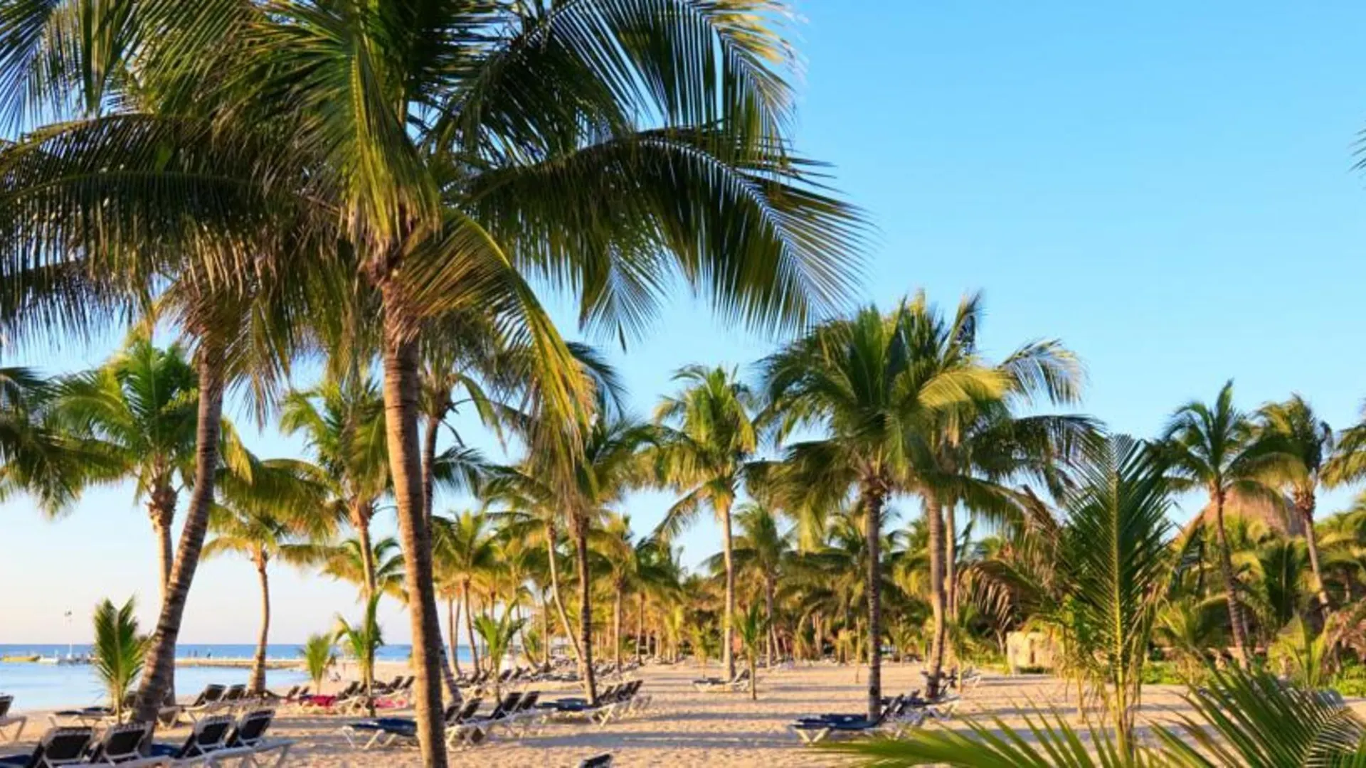 Hacienda Paradise Hotel Playa del Carmen